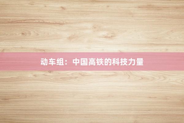 动车组：中国高铁的科技力量
